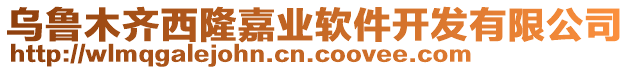 烏魯木齊西隆嘉業(yè)軟件開發(fā)有限公司