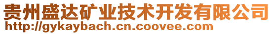 貴州盛達(dá)礦業(yè)技術(shù)開發(fā)有限公司