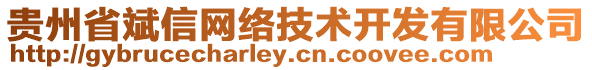 貴州省斌信網(wǎng)絡(luò)技術(shù)開發(fā)有限公司