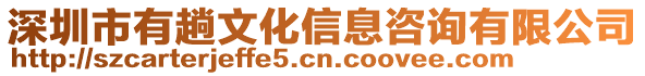 深圳市有趟文化信息咨詢有限公司