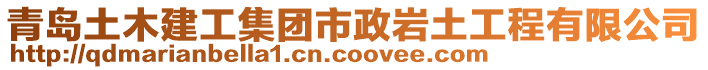 青島土木建工集團(tuán)市政巖土工程有限公司