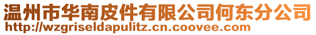 溫州市華南皮件有限公司何東分公司