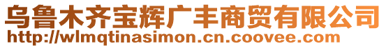 烏魯木齊寶輝廣豐商貿(mào)有限公司