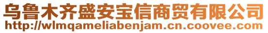 烏魯木齊盛安寶信商貿(mào)有限公司