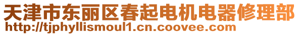 天津市東麗區(qū)春起電機(jī)電器修理部