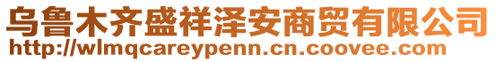 烏魯木齊盛祥澤安商貿(mào)有限公司