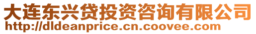 大連東興貸投資咨詢有限公司