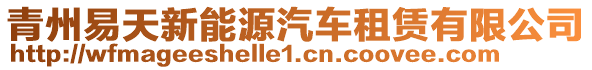 青州易天新能源汽車租賃有限公司