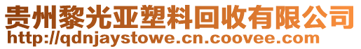 貴州黎光亞塑料回收有限公司