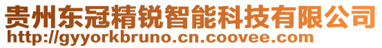 貴州東冠精銳智能科技有限公司