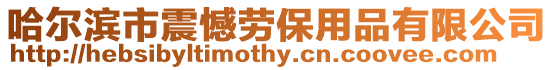 哈爾濱市震憾勞保用品有限公司