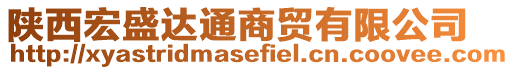 陜西宏盛達通商貿(mào)有限公司