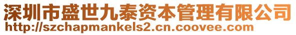 深圳市盛世九泰資本管理有限公司