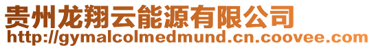 貴州龍翔云能源有限公司