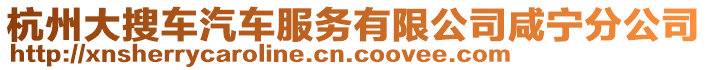 杭州大搜車汽車服務(wù)有限公司咸寧分公司