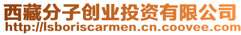 西藏分子創(chuàng)業(yè)投資有限公司