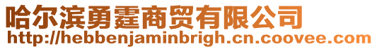 哈爾濱勇霆商貿(mào)有限公司