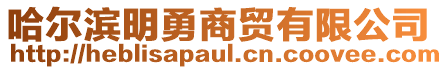 哈爾濱明勇商貿(mào)有限公司