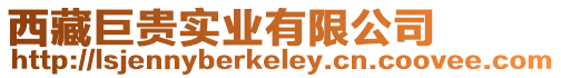 西藏巨貴實業(yè)有限公司