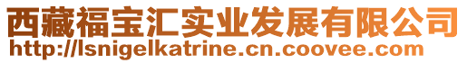 西藏福寶匯實業(yè)發(fā)展有限公司