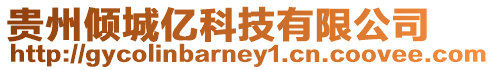 貴州傾城億科技有限公司