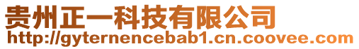 貴州正一科技有限公司