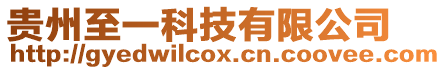 貴州至一科技有限公司
