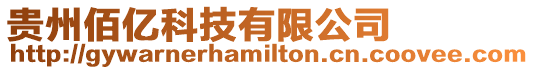 貴州佰億科技有限公司