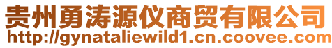 貴州勇濤源儀商貿(mào)有限公司