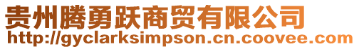 貴州騰勇躍商貿有限公司