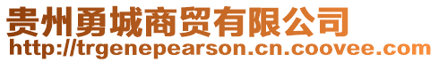 貴州勇城商貿有限公司