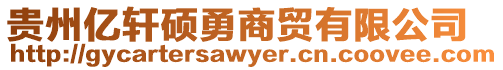 貴州億軒碩勇商貿有限公司