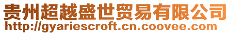 貴州超越盛世貿(mào)易有限公司