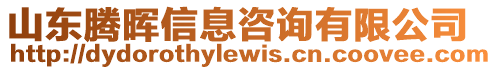 山東騰暉信息咨詢有限公司