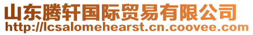 山東騰軒國際貿易有限公司