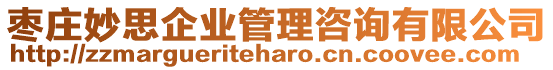 棗莊妙思企業(yè)管理咨詢有限公司