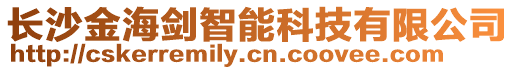 長沙金海劍智能科技有限公司