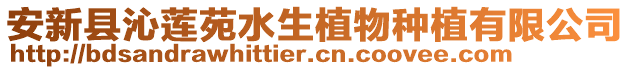 安新縣沁蓮苑水生植物種植有限公司