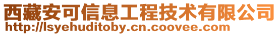 西藏安可信息工程技術有限公司