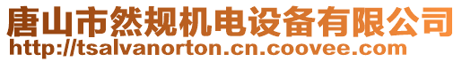 唐山市然規(guī)機電設備有限公司