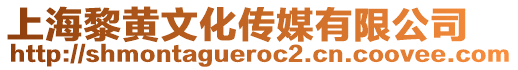 上海黎黃文化傳媒有限公司