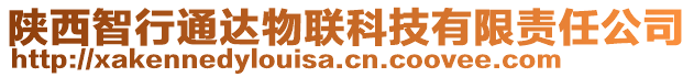 陜西智行通達物聯科技有限責任公司