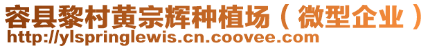 容縣黎村黃宗輝種植場(chǎng)（微型企業(yè)）