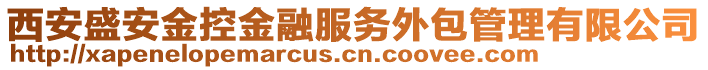 西安盛安金控金融服務(wù)外包管理有限公司