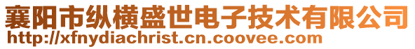 襄陽市縱橫盛世電子技術有限公司