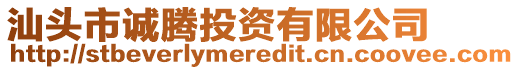 汕頭市誠騰投資有限公司