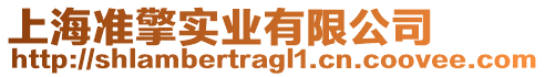 上海準擎實業有限公司