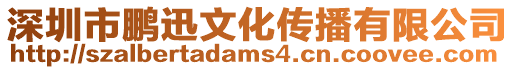 深圳市鵬迅文化傳播有限公司