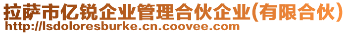 拉薩市億銳企業(yè)管理合伙企業(yè)(有限合伙)