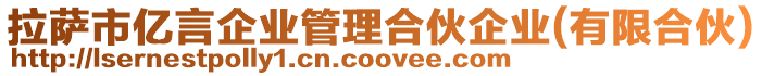 拉薩市億言企業管理合伙企業(有限合伙)